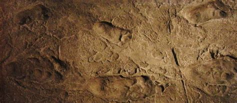 laetoli footprints site
