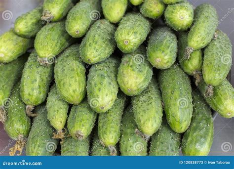 Fresh Cucumber Abstract Fruit Colorful Pattern Texture Background Stock