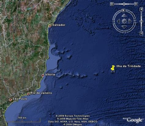 Tartarugas marinhas saiba como salvar dois milhões de filhotes