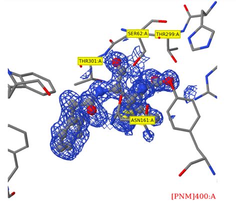 Pdb 101 Learn Guide To Understanding Pdb Data Small Molecule Ligands