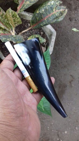 Jual Pipa Rokok TANDUK KERBAU Mdl 082 Di Lapak HAKEKAT GALERY Bukalapak