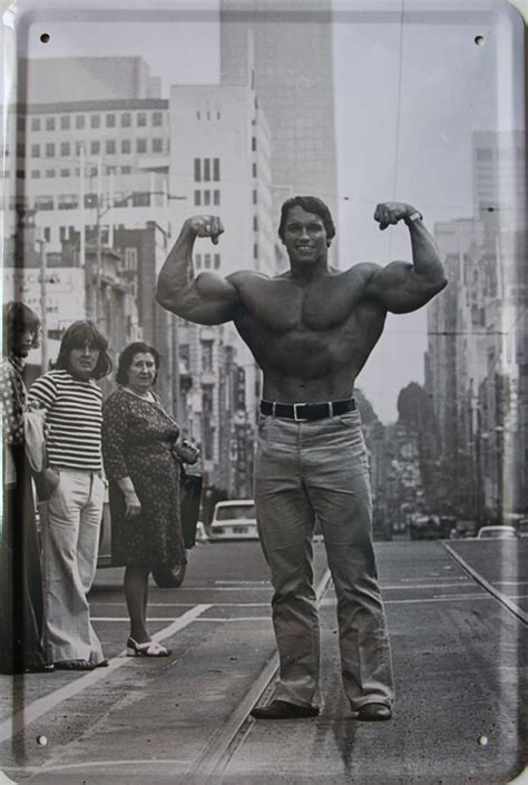 Arnold Schwarzenegger Meme 8
