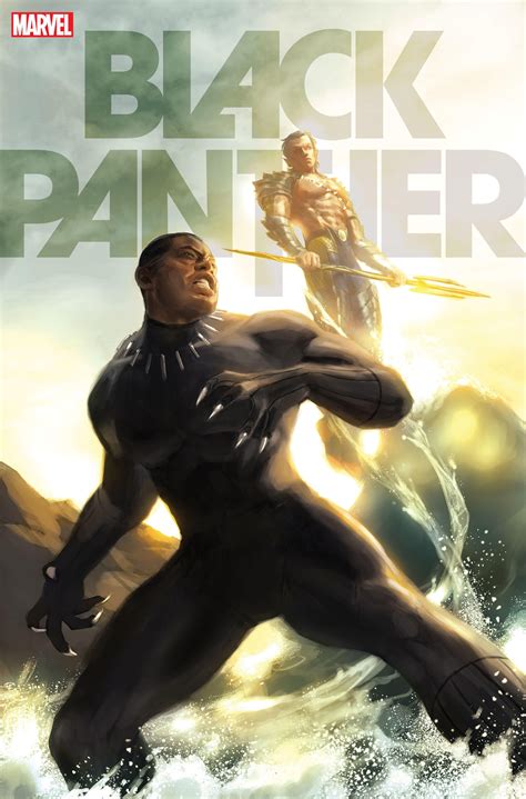 Black Panther and Namor Team Up to Battle The Avengers