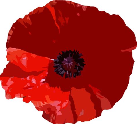 Poppy Free Stock Photo - Public Domain Pictures