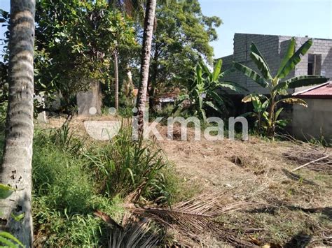 Flat Land For Sale In Piliyandala Kesbewa Ikman