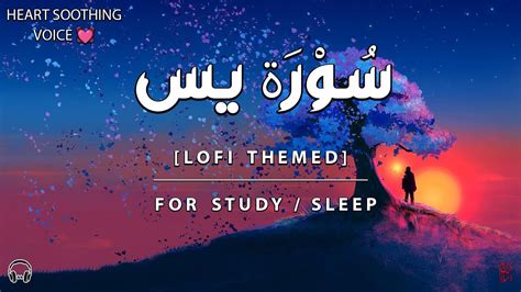 Lo Fi Quran Quran For Sleep Study Sessions Relaxing Quran Surah