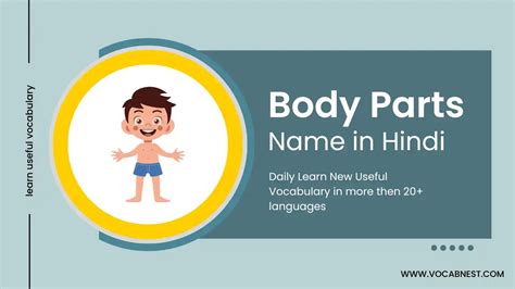 शरीर के अंगों के नाम - Body Parts Name in Hindi and English - Vocab Nest