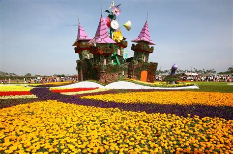 新社花海與花毯節將整合 望打造花園城市 旅遊 Newtalk新聞