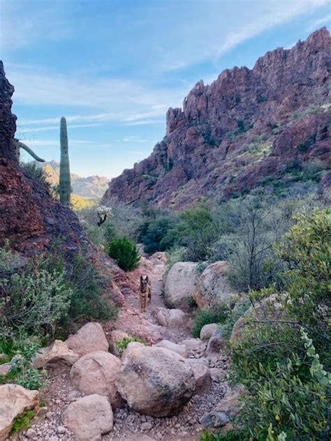 Peralta Trail To Fremont Saddle Arizona Hiking Guide Karabou