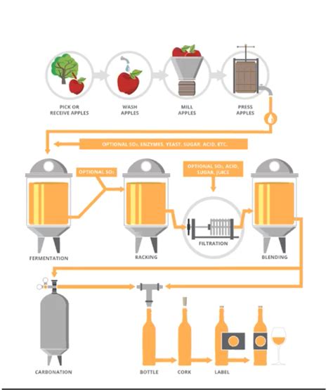 Cider Process — Ponderosa Cider Co.