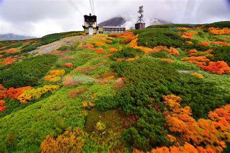 旭岳六景【ロープウェイ車窓からの紅葉】 Ganref