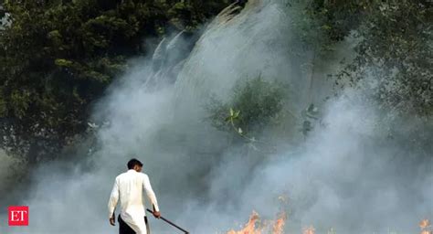 Ludhiana Stubble Burning Punjab Stubble Burning Cases Reported In