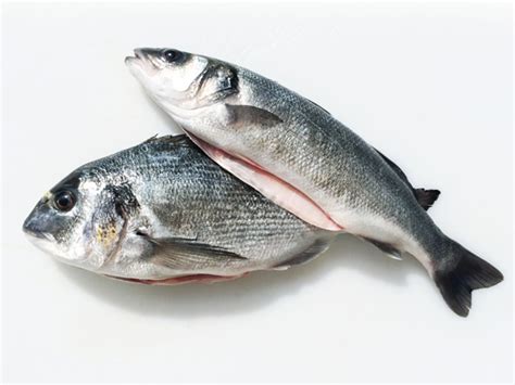 Turkish Seabass and Seabream - A&M Seafood UK