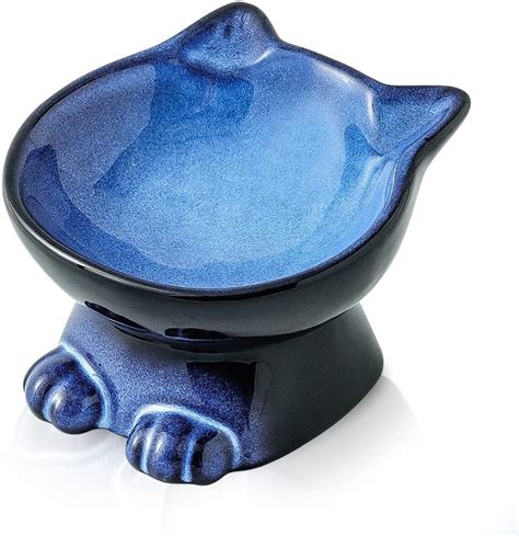 Nihow Slanted Elevated Cat Bowls 5 Inch Ceramic Raised Cat Food Bowl