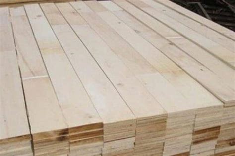 Poplar Lumber – O.P. Holz Impex GmbH