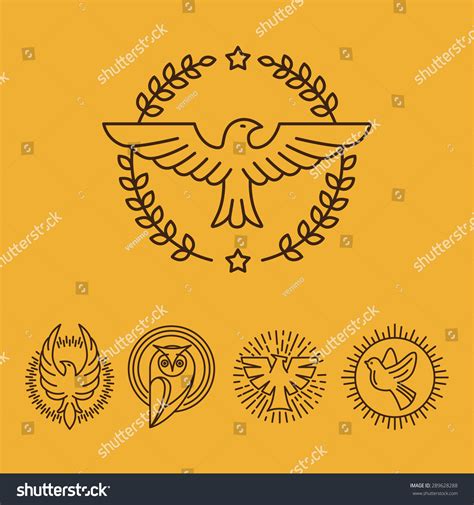 Vector Eagle Falcon Linear Logo Design Stock Vector Royalty Free