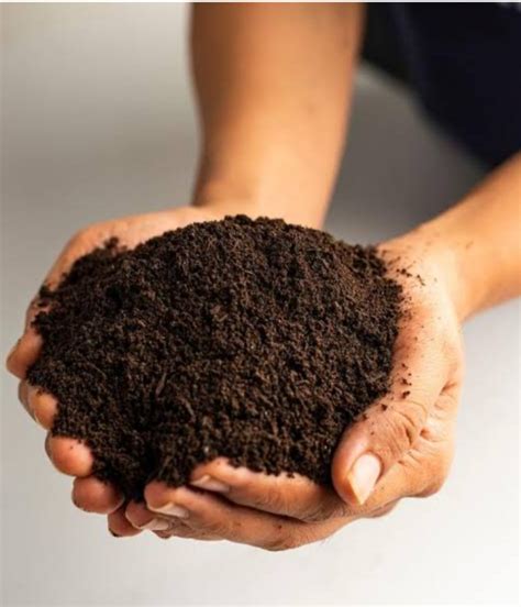 Brown Organic Vermicompost Powder For Agriculture Packaging Type