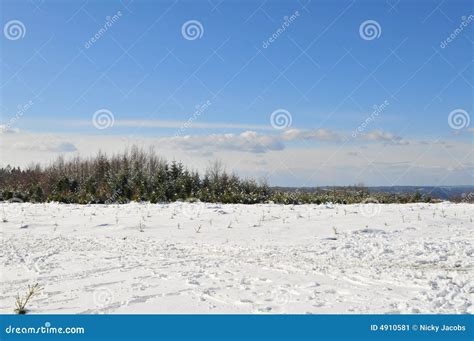 Winter Landscape in Ardennes Stock Image - Image of trees, wonderland ...