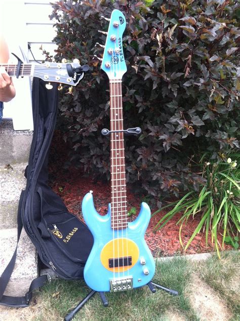 Advice on selling a Flea Bass? : r/Bass