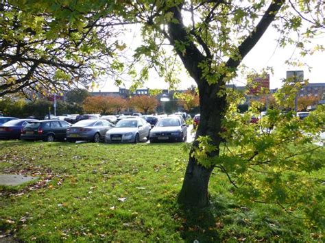 Tree In Shadow Omagh Kenneth Allen Cc By Sa Geograph Britain