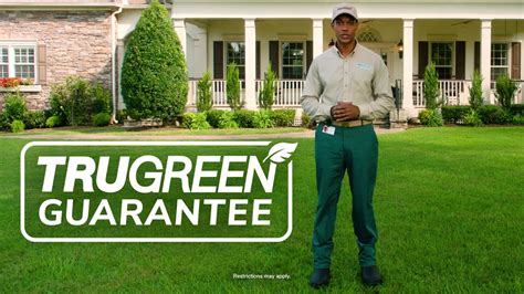 How To Maintain Your Trees And Shrubs Trugreen Lawn Care Youtube