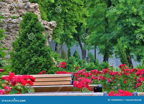 View of a Park Full of Plant and Trees. Stock Photo - Image of natural ...