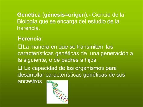 1 1 Genetica Mendeliana Leyes De Mendel Basica Para Principiantes PPT