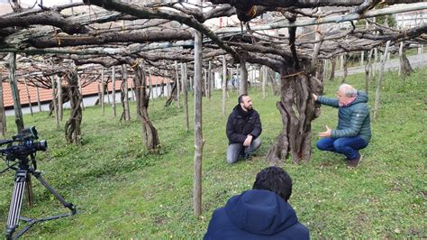 Il Vescovado Sabato Febbraio Tramonti In Tv A Mezzogiorno Italia