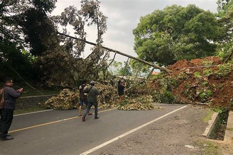 Gempa Cianjur Sebabkan Tanah Longsor Jokowi Instruksikan Menteri Pupr