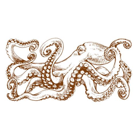 Kraken Tattoo Art