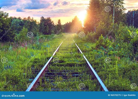 Old Abandoned Railroad Overgrown With Grass Railway Track Through The