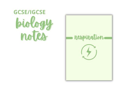 Free Gcseigcse Biology Notes Respiration Teaching Resources