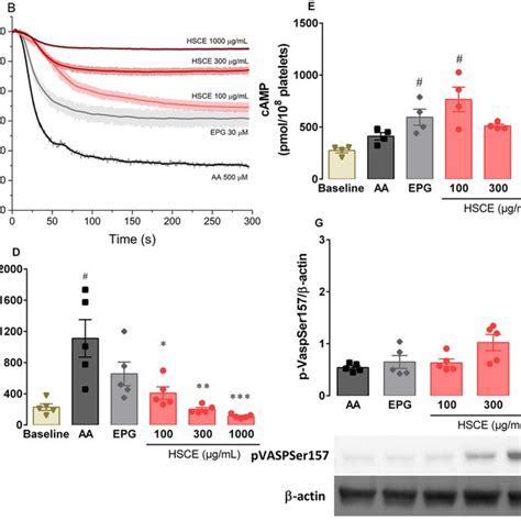 Role Of Nitric Oxide A B C And Potassium Channels D E F On