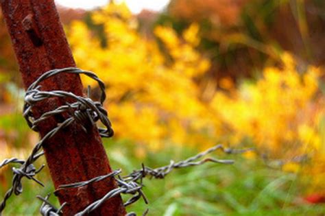 Filebarbed Wire Tibetan Buddhist Encyclopedia