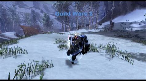 GW2 Araadiia Warrior Dragon Hunter WvW Roaming YouTube