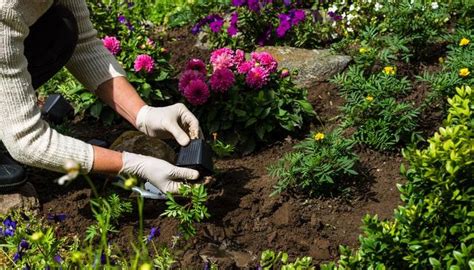 Veja Mais Sobre O Curso De Jardinagem Do Senac