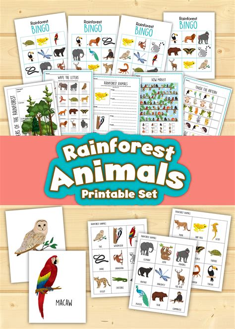 Rainforest Animals Printable Activities - Etsy