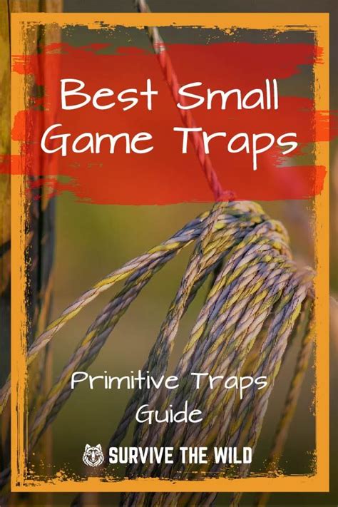 Best Small Game Traps That Actually Work 2020 Primitive Traps Guide