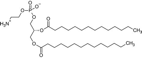 1 2 Dimyristoyl Sn Glycero 3 Phosphorylethanolamine DMPE