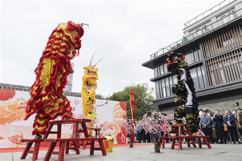 读懂广州·粤韵｜广东醒狮真功夫 舞出新春精气神腾讯新闻