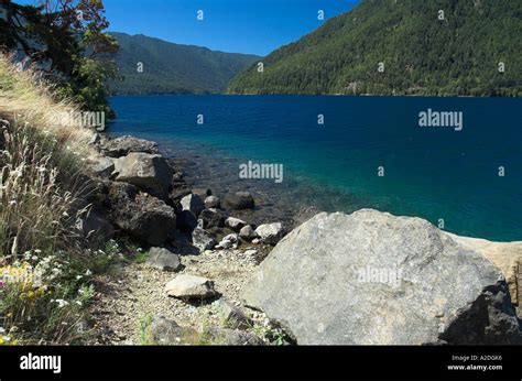 Lake Crescent Olympic National Park Wa Usa Stock Photo Alamy