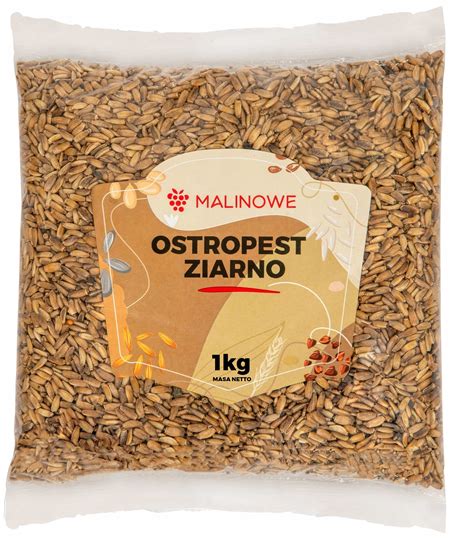 OSTROPEST PLAMISTY ZIARNO 1kg NATURALNY JAKOŚĆ PREMIUM 6662775135