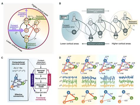 Structural And Functional Brain Networks From Connections To Cognition