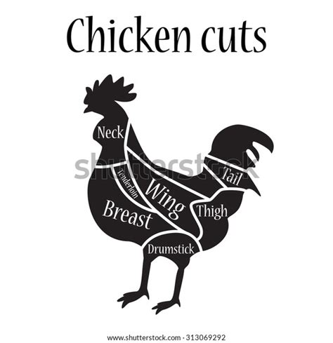 Vector Illustration Chicken Cuts Diagram Chart Stock Vector Royalty