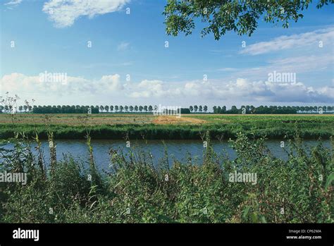 Netherlands Dutch Polder Landscapes Stock Photo Alamy