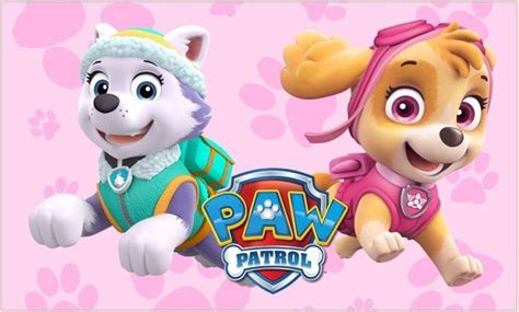 Skye E Everest Paw Patrol Birthday Party Paw Patrol Birthday Skye