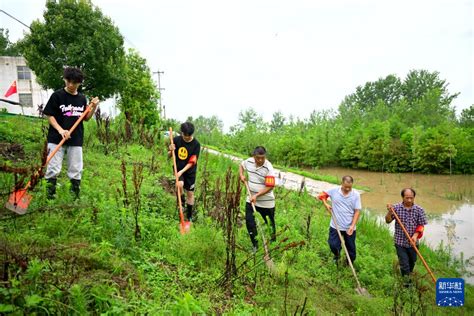 聚焦防汛抗洪盯水情 巡堤防 保民生——“千里淮河第一闸”王家坝闸防汛一线直击 新华网