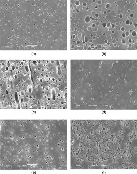 Sem Micrograph Of The Cryo Fractured Surface Of Poe Ps Blends And Poe