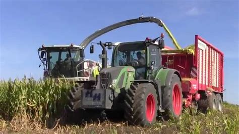 Maishäckseln für BGA mit Claas jaguar 960 2 Fendt 724 930 926 Favorit