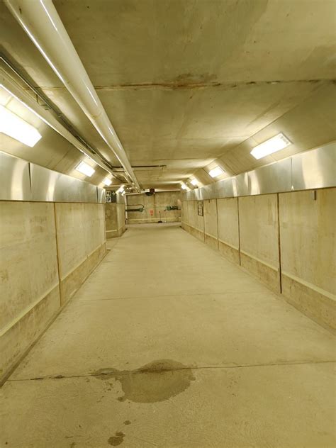 Travelers are reacting to Mount Pleasant GO service improvements 8